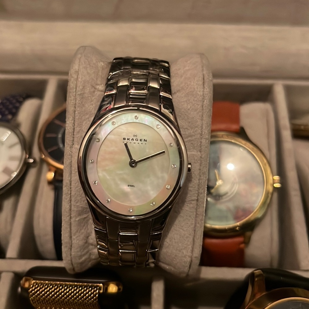 Skagen Stainless Steel Watch
